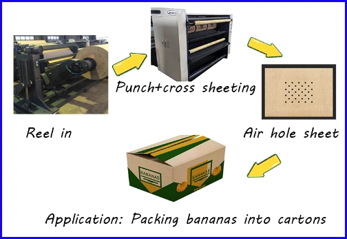 Rotary-Blade Sheeting Machine with Touch Screen Computer Interface Control Servo Hole Punching Inline for Banana Packing